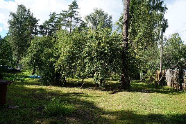 Ленинградская область, Вырица городской посёлок, Сызранская ул., 19