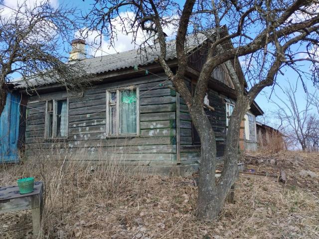 Ленинградская область, Верхняя Бронна дер., Центральная ул., 31