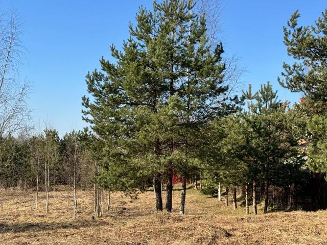 Ленинградская область, Разметелево дер., Школьный пер.