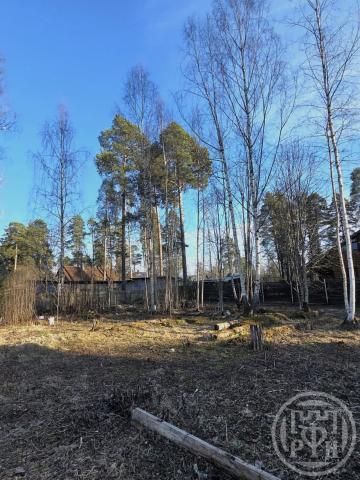 Вырица пос., Железнодорожная ул.