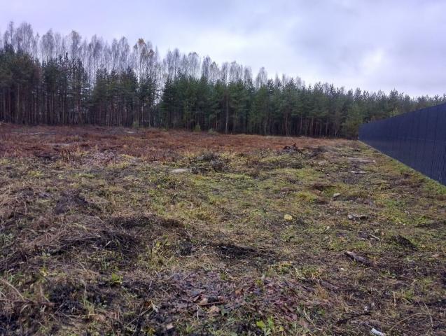 Ленинградская область, Балтиец-3