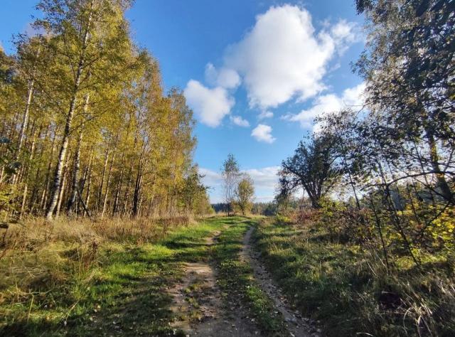 Ленинградская область, Мичуринское пос.