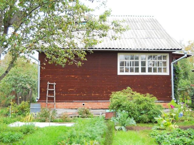 Ленинградская область, Дунай массив, Оптимист СНТ, 1-6