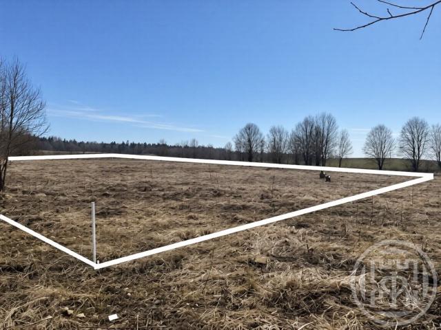 Зимитицы пос.