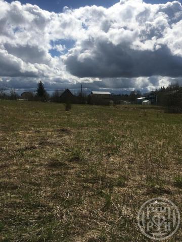 Старая Буря снт