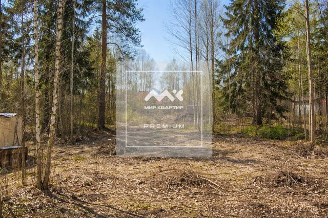 Всеволожск г., Пушкинская ул., 124