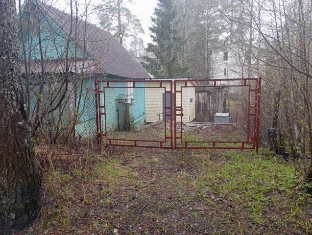 СНТ 