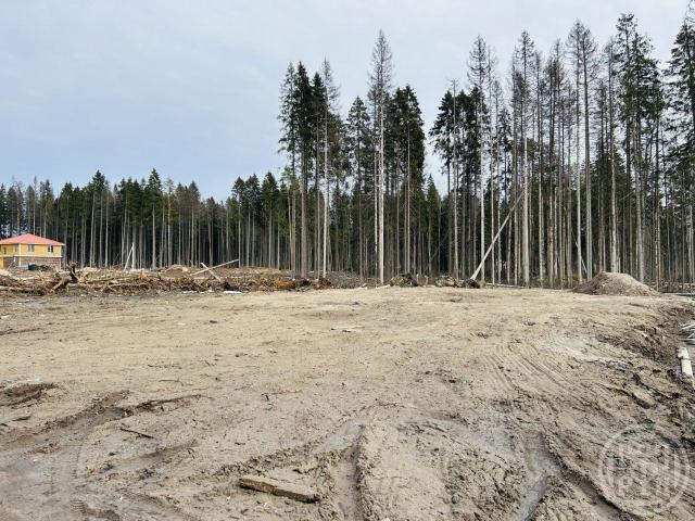 Сертолово г., Медное озеро 3 днп, д 803