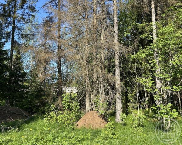 Огоньки пос.