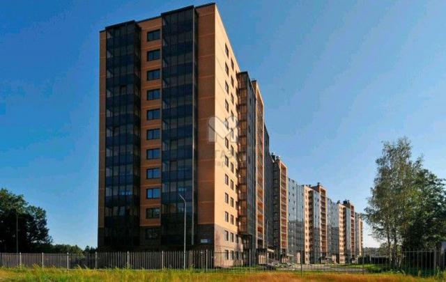 Новое Девяткино дер, Главная ул., 115к1