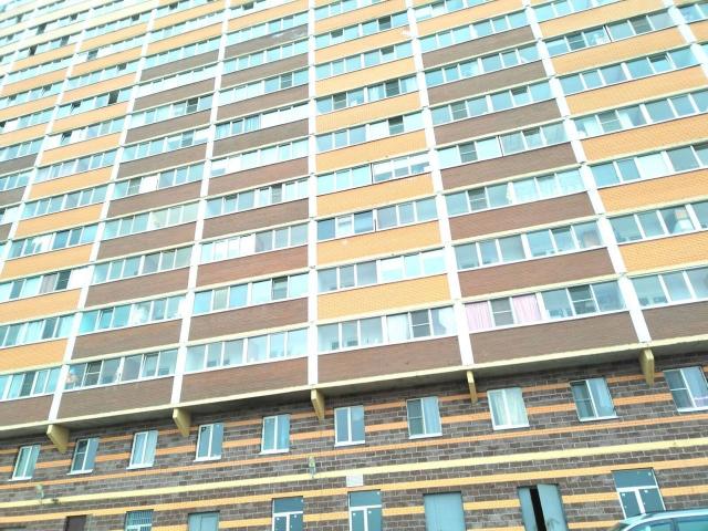 Ленинградская область, Никольское г., Октябрьская ул., 16