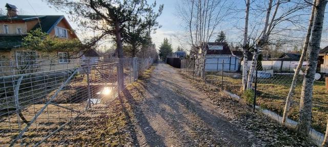 Ленинградская область, Пупышево дер.