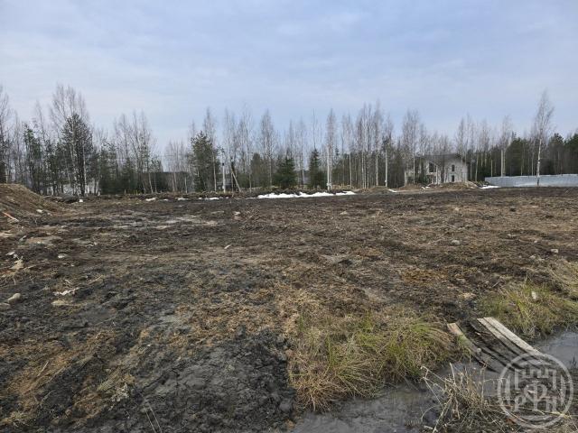 Касимово дер., Цветочная ул.