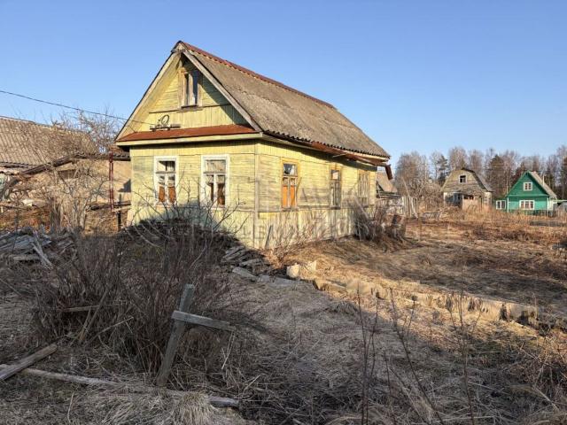 снт. Новинка-1