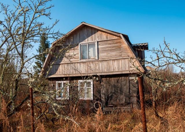 Ленинградская область, Бабино массив, Волна СНТ, 333