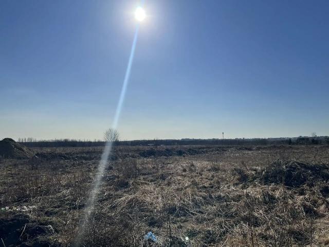 Ленинградская область, Романовка пос.