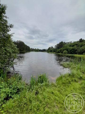 Токсово пос., Пушкарская ул.