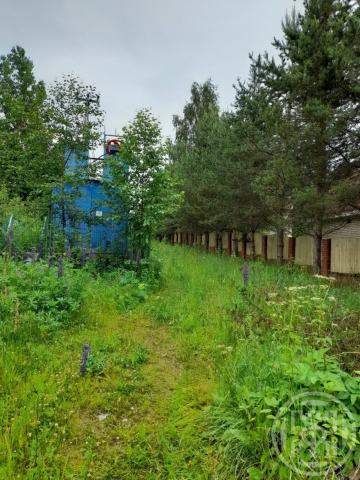 Токсово пос., Пушкарская ул.