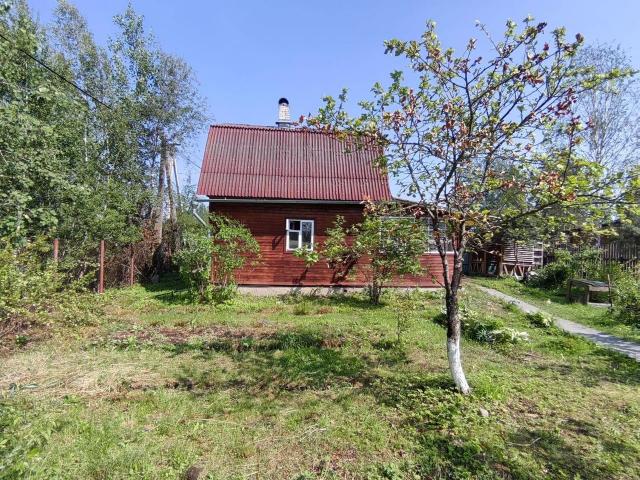 Ленинградская область, Дорожник СНТ