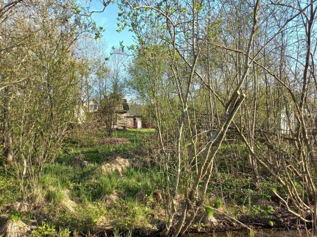 Ленинградская область, Славянка массив