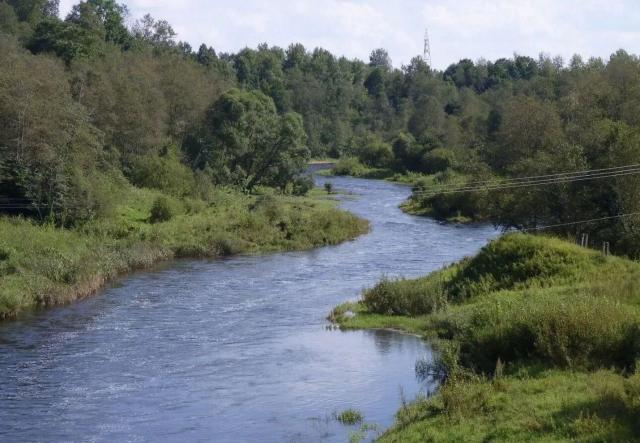 Ленинградская область, Ульяновка пос., Володарского проспект, 133