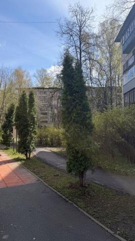 Пискаревский пр., 17к3