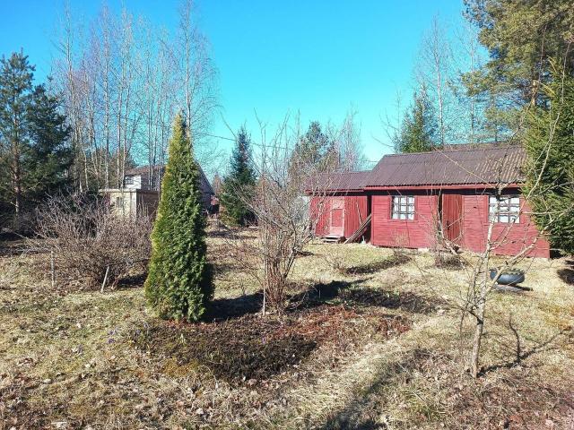 Ленинградская область, Корунд СНТ