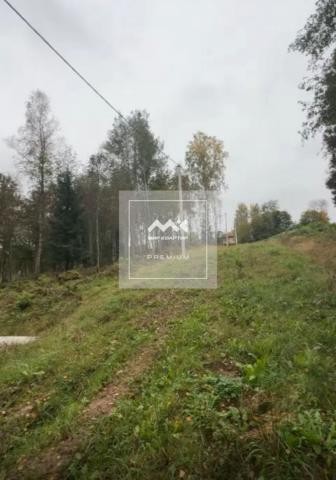 Лесной хутор днп