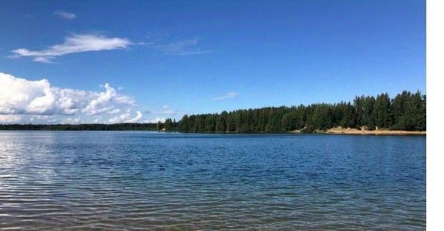 Ленинградская область, Грибное массив, Дружба СНТ, 61