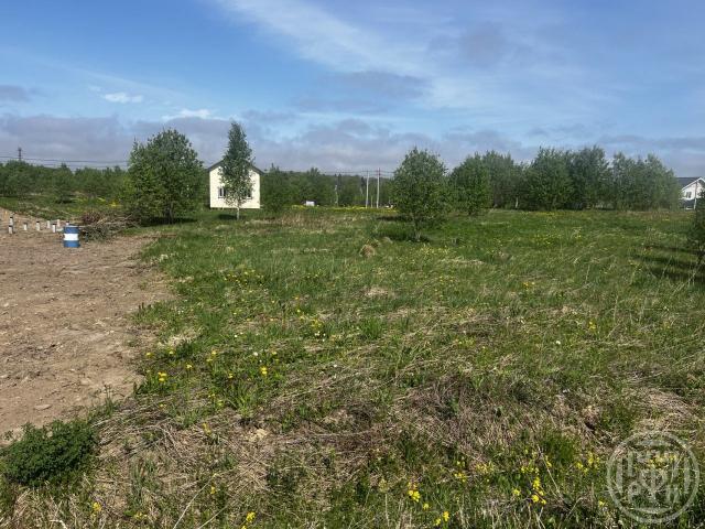 Новое Заостровье снт, д 19, литера б