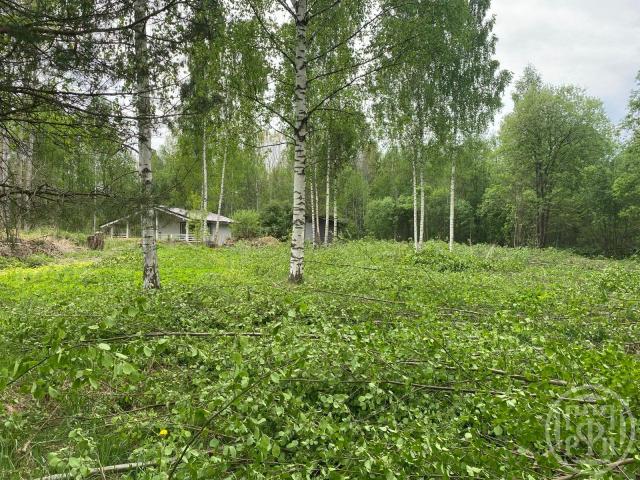 Бетково дер.