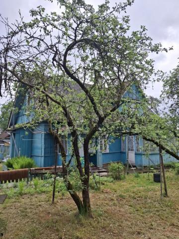 г. Луга