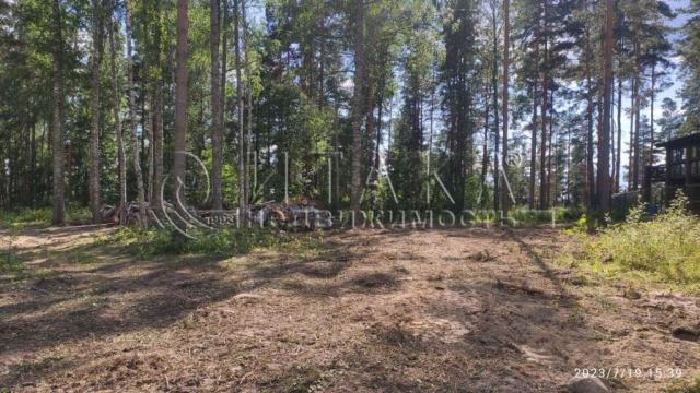 КП. Ягодное