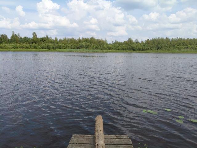 Ленинградская область, Горловщина д., 3