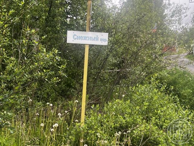 Снежный пер.