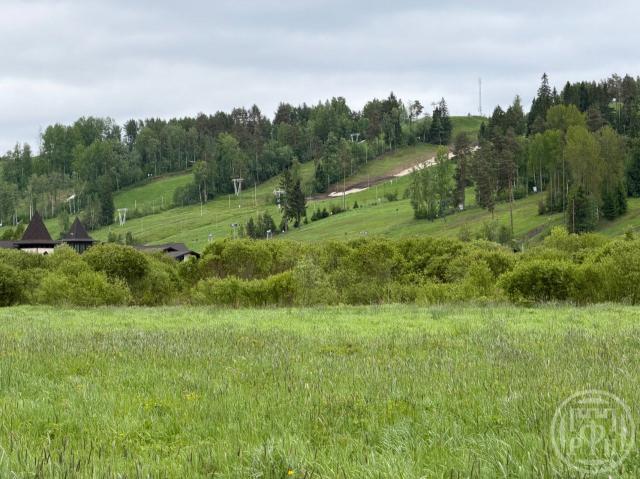 Васильево дер.