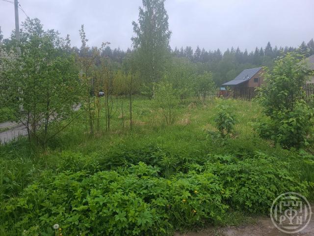 Лебяжье пос.