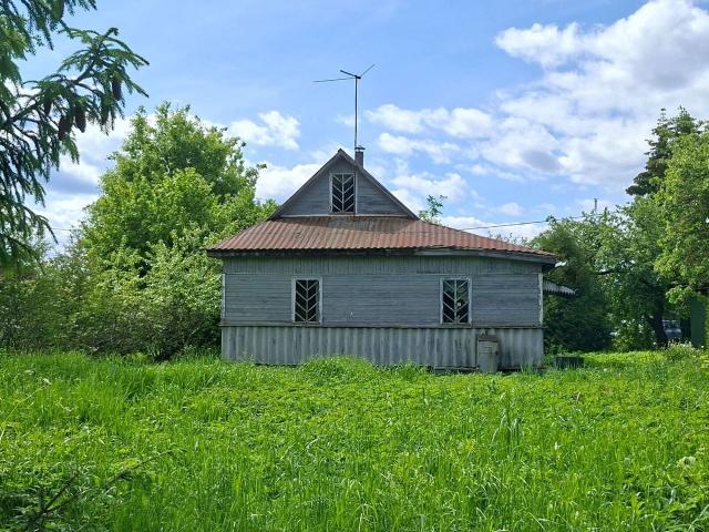 Ленинградская область, Беляевский Мох массив, Клен СНТ, 48