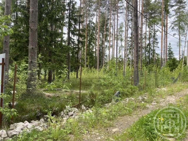 Сертолово г., Медное озеро 3 днп