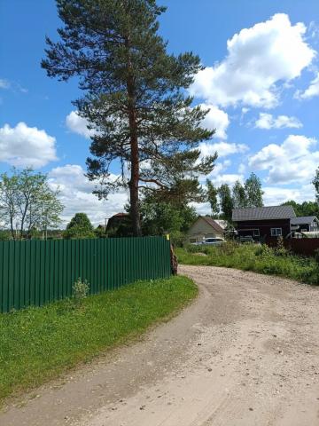 Ленинградская область, Жельцы д.