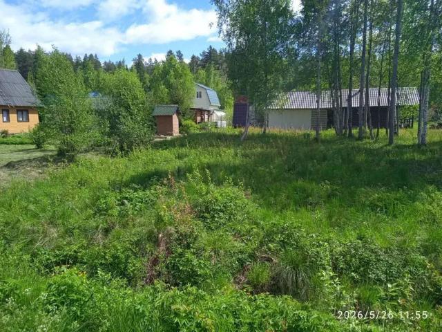 Ленинградская область, Приморск г., Елочка СНТ