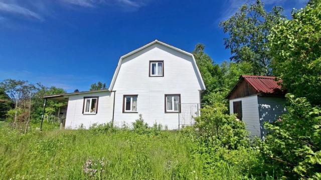 Ленинградская область, Дунай массив, Алмаз СНТ, 1