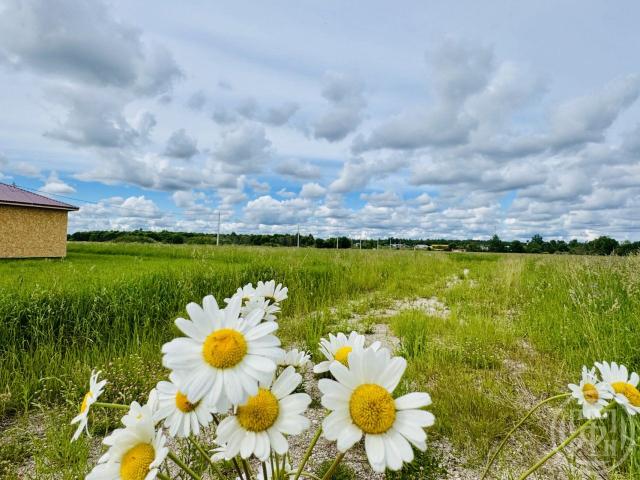 Заклинье пос.