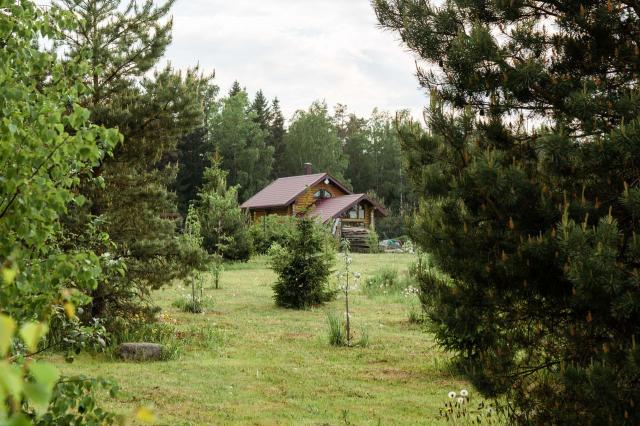 ДНТ Стремление территория, Южная аллея