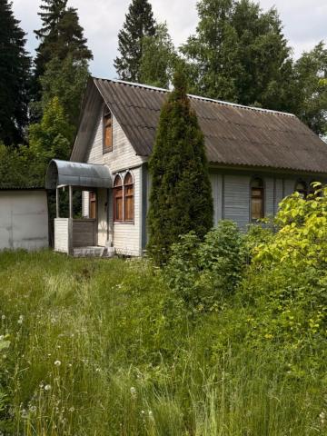 Ленинградская область, Лебяжье пос.
