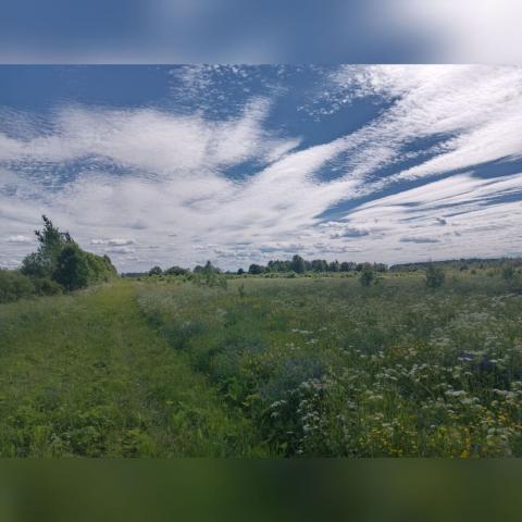 Ленинградская область, Красный Маяк пос.