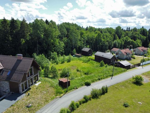 Ленинградская область, Хутор близ Извары КП
