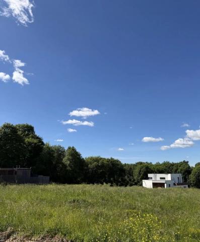 Ленинградская область, Вильповицы дер.