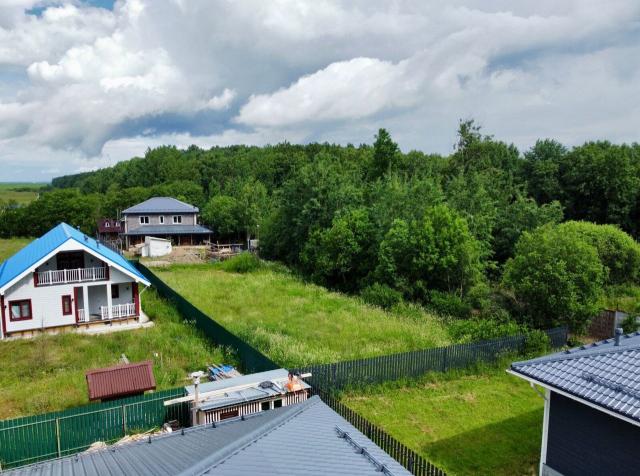 Ленинградская область, Красносельское ТСН