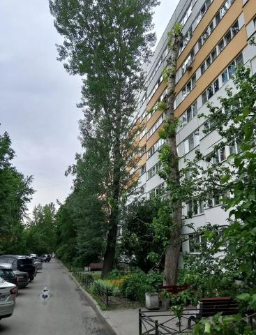 Дачный проспект, 3 к 1